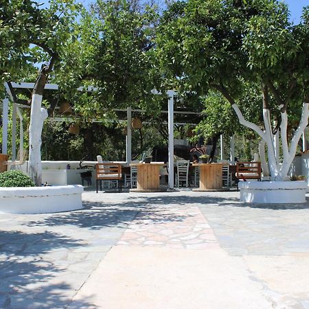 Villa Nouli Sarakiniko  Bagian luar foto